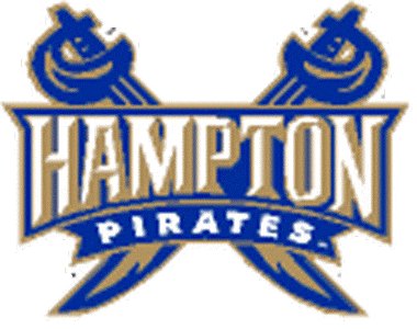 Hampton Pirates 2002-2006 Secondary Logo iron on transfers for clothing